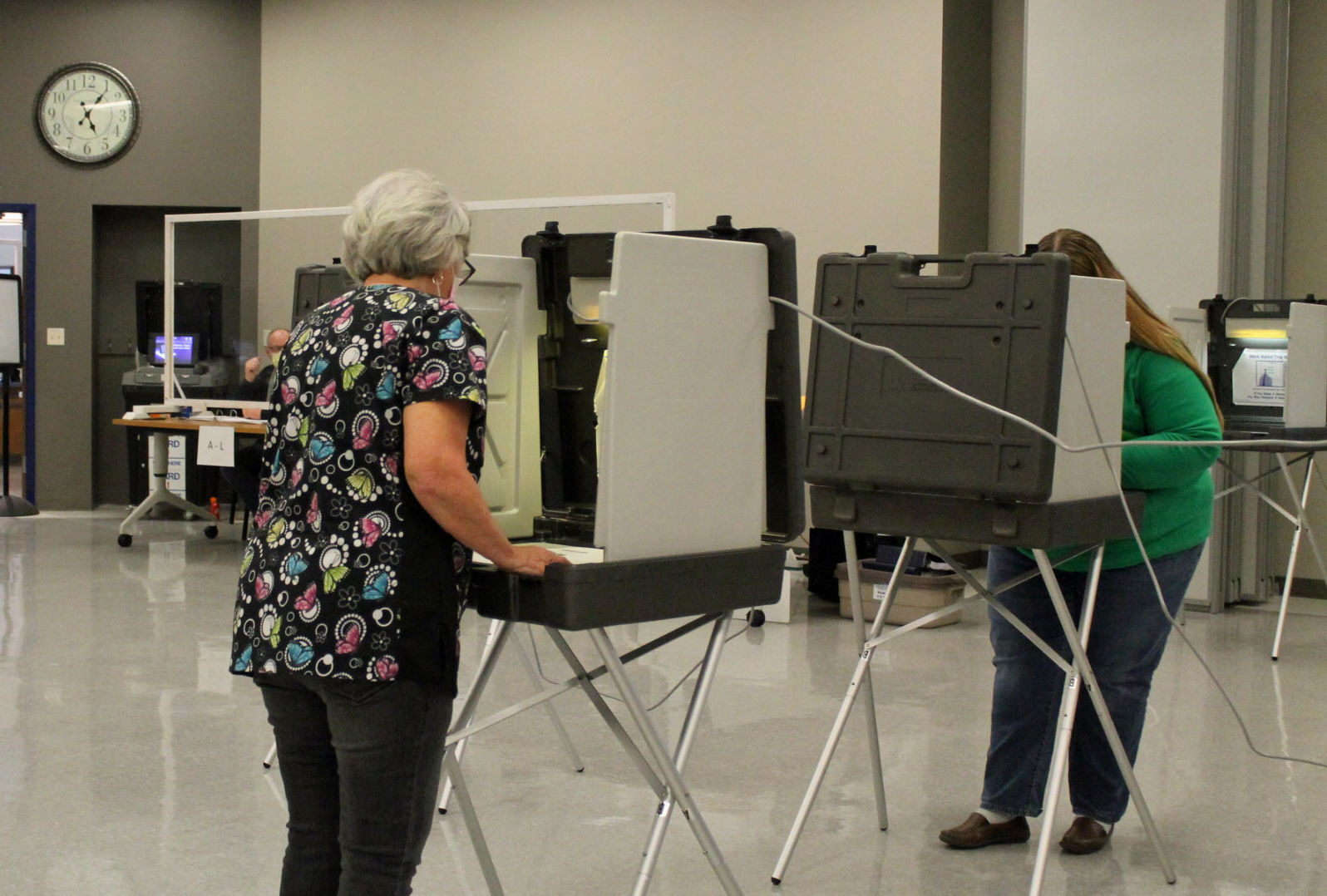 Spring Election Day